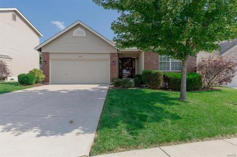 258 Spring Borough Dr, O'fallon, MO 63368 photo 33