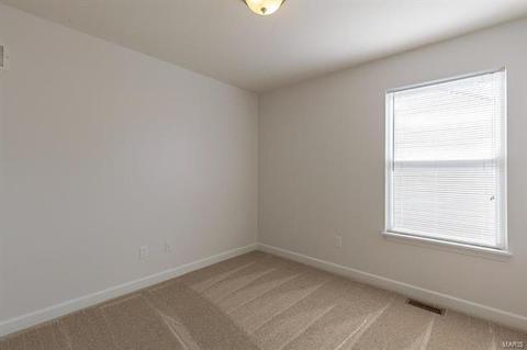 258 Spring Borough Dr, O'fallon, MO 63368 photo 25