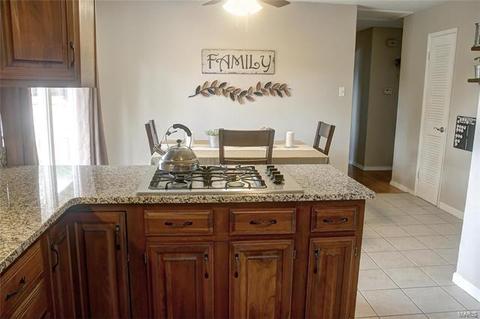 359 Messina, Ballwin, MO 63021 photo 10