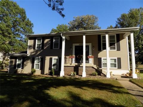 1167 Briarhurst Dr, Manchester, MO 63021 photo 1