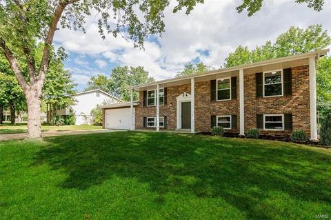 402 Cardiff, Manchester, MO 63021 photo 2