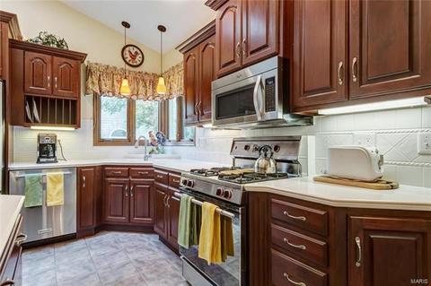 538 Autumn Oaks Dr, Ellisville, MO 63021 photo 26