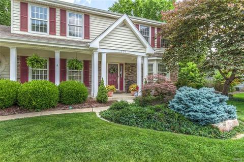 538 Autumn Oaks Dr, Ellisville, MO 63021 photo 3