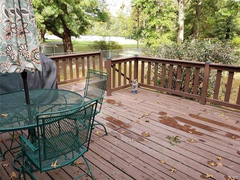 449 Vail Ct, Ballwin, MO 63021 photo 22