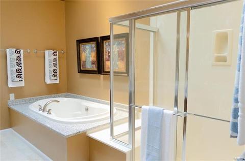 23 Shaelah, Weldon Spring, MO 63304 photo 10