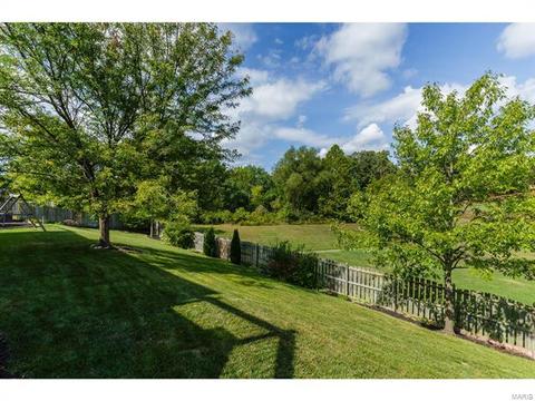 1133 Warm Winds Dr, O'fallon, MO 63366 photo 8