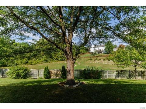 1133 Warm Winds Dr, O'fallon, MO 63366 photo 53