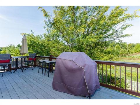 1133 Warm Winds Dr, O'fallon, MO 63366 photo 38
