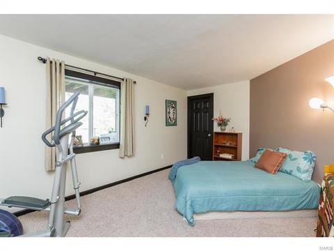 1133 Warm Winds Dr, O'fallon, MO 63366 photo 47