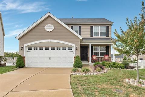 89 Brewster Ct, O'fallon, MO 63366 photo 1
