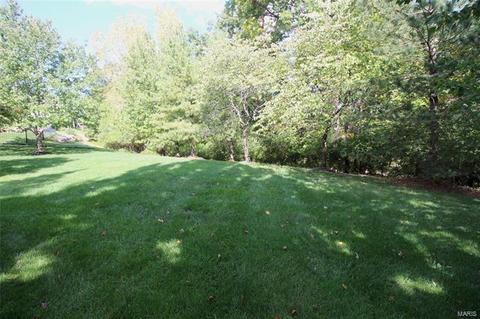 1372 Mallet Hill Dr, Ellisville, MO 63021 photo 55