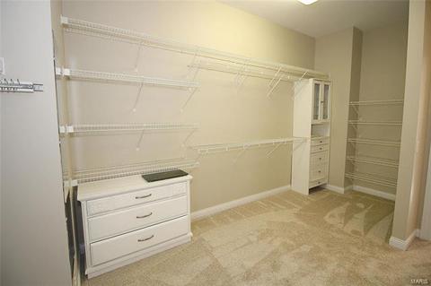 1372 Mallet Hill Dr, Ellisville, MO 63021 photo 35