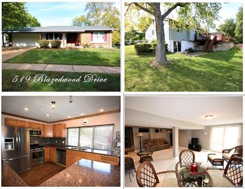 519 Blazedwood Dr, Ballwin, MO 63021 photo 1