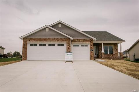 124 Waters Edge Dr, Waterloo, IL 62298 photo 1