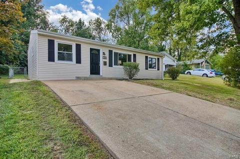 232 Ballwin Ave, Ballwin, MO 63021 photo 33