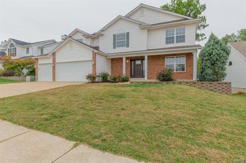 2456 Eagle Frst, Saint Charles, MO 63303 photo 44