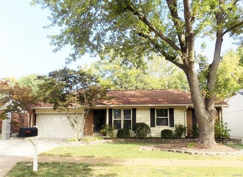 1217 Dorne Dr, Ballwin, MO 63021 photo 39