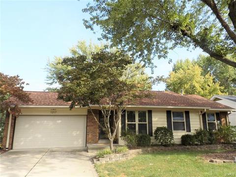 1217 Dorne Dr, Ballwin, MO 63021 photo 1