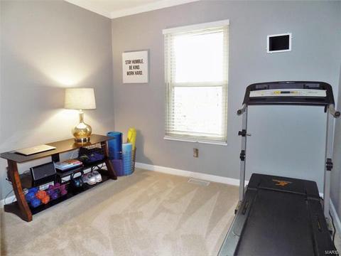 1217 Dorne Dr, Ballwin, MO 63021 photo 17