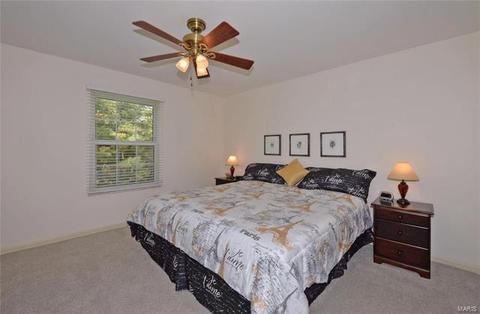 313 Glyn Cagny Rd, Ballwin, MO 63021 photo 11