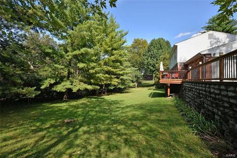 313 Glyn Cagny Rd, Ballwin, MO 63021 photo 21