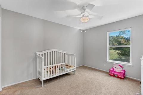 674 Canary Estates Dr, Manchester, MO 63021 photo 24