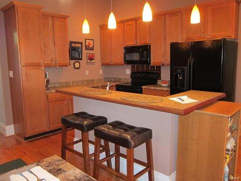 3319 S 18th St #1, Saint Louis, MO 63118 photo 1