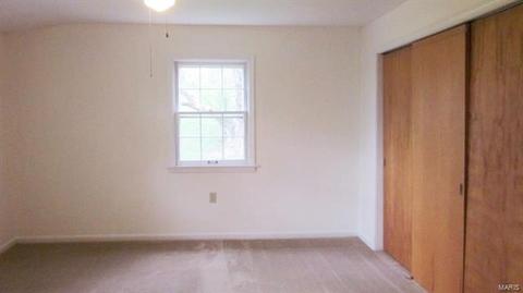 189 Jackson St, Augusta, MO 63332 photo 17