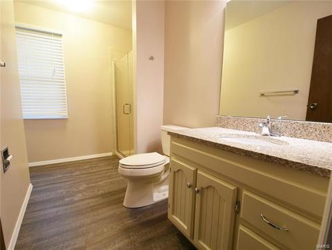 565 Arblay, Manchester, MO 63011 photo 17
