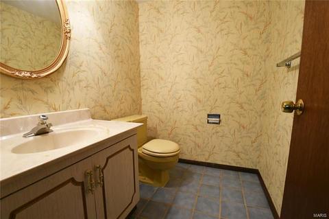 565 Arblay, Manchester, MO 63011 photo 24