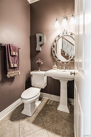 608 Thorntree Ln, Eureka, MO 63025 photo 30