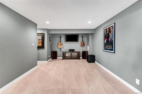 228 Spring Borough Dr, O'fallon, MO 63368 photo 28