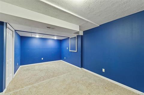 11 Summer Pointe Ct, O'fallon, MO 63366 photo 26