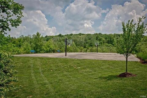 808 Bluff Brook Dr, O'fallon, MO 63366 photo 25