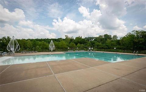 808 Bluff Brook Dr, O'fallon, MO 63366 photo 29