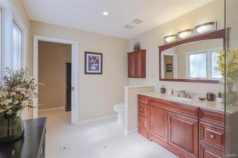 459 Shadowridge Ct, Wildwood, MO 63011 photo 29