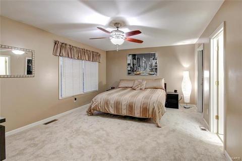 505 Chatham Dr, O'fallon, MO 63366 photo 27