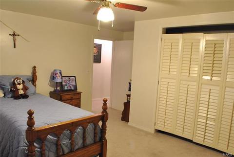 706 Blackberry Ln, O'fallon, MO 63366 photo 26