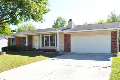706 Blackberry Ln, O'fallon, MO 63366 photo 2