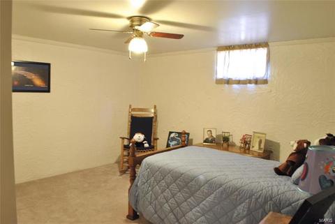 706 Blackberry Ln, O'fallon, MO 63366 photo 25