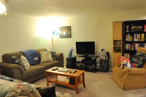 706 Blackberry Ln, O'fallon, MO 63366 photo 22
