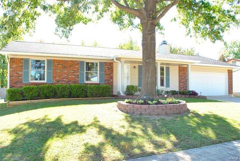 706 Blackberry Ln, O'fallon, MO 63366 photo 3