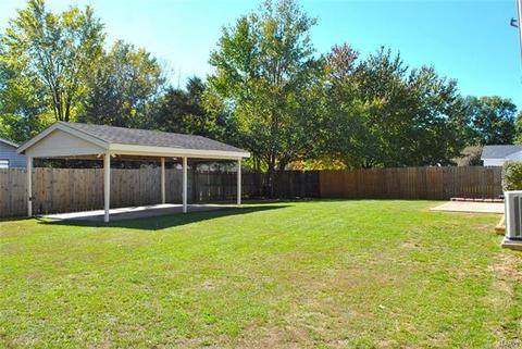706 Blackberry Ln, O'fallon, MO 63366 photo 4