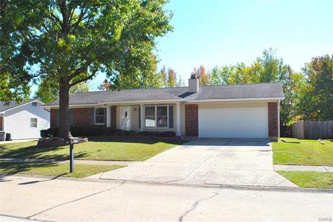 706 Blackberry Ln, O'fallon, MO 63366 photo 27
