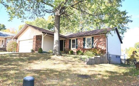 537 Treetop Trail Dr, Manchester, MO 63021 photo 1