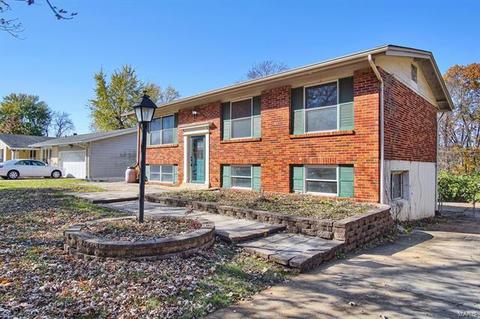 625 Burwick Ter, Manchester, MO 63021 photo 26
