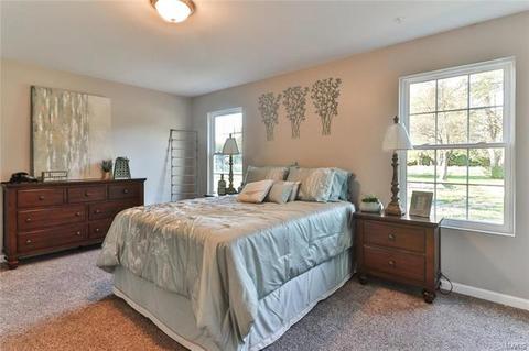 163 Criderville Dr, O'fallon, MO 63366 photo 27