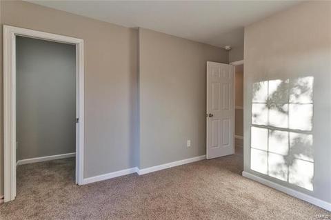163 Criderville Dr, O'fallon, MO 63366 photo 33