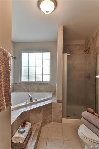 163 Criderville Dr, O'fallon, MO 63366 photo 29