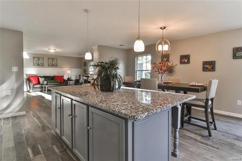 163 Criderville Dr, O'fallon, MO 63366 photo 13